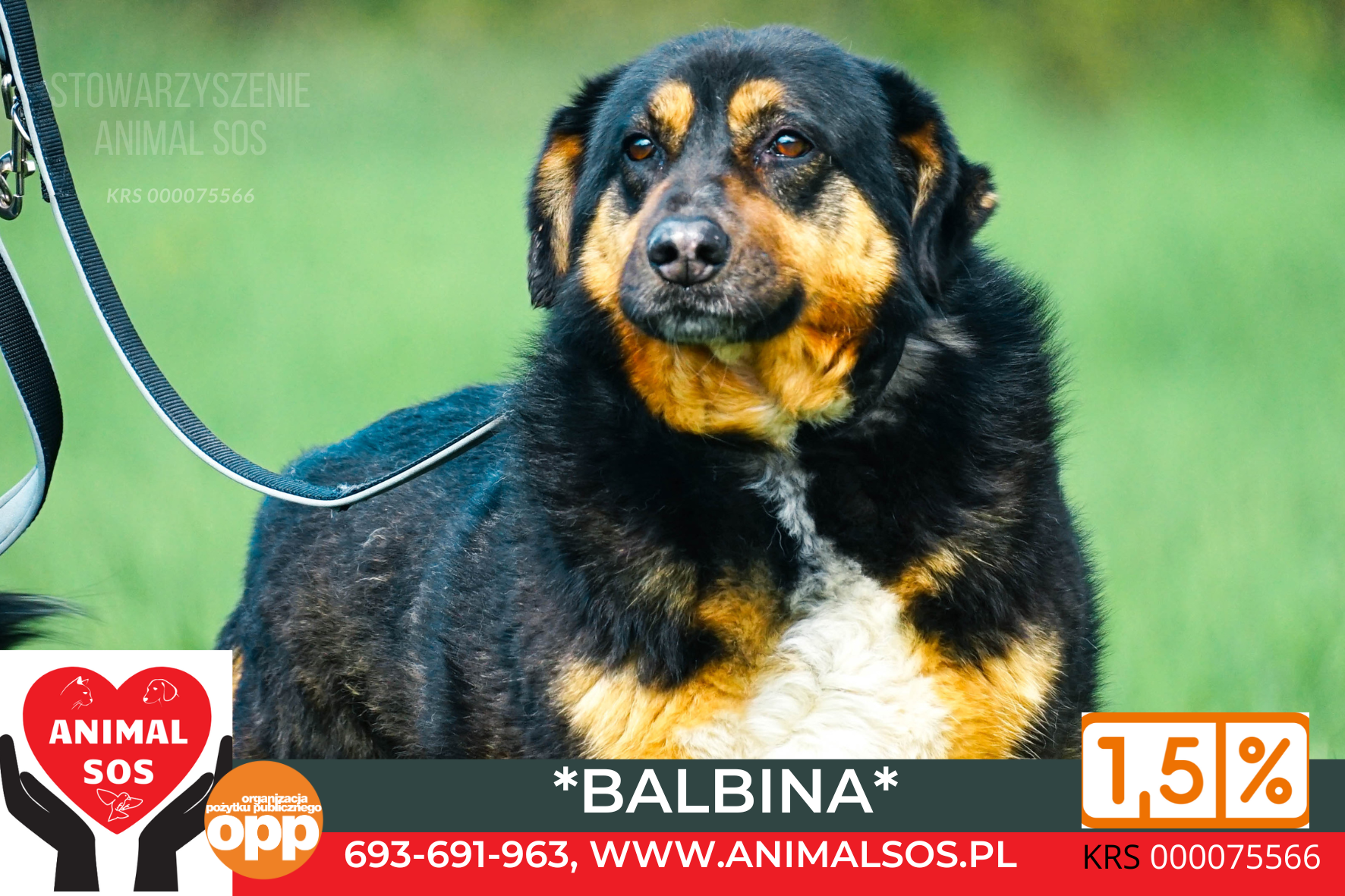 BALBINA