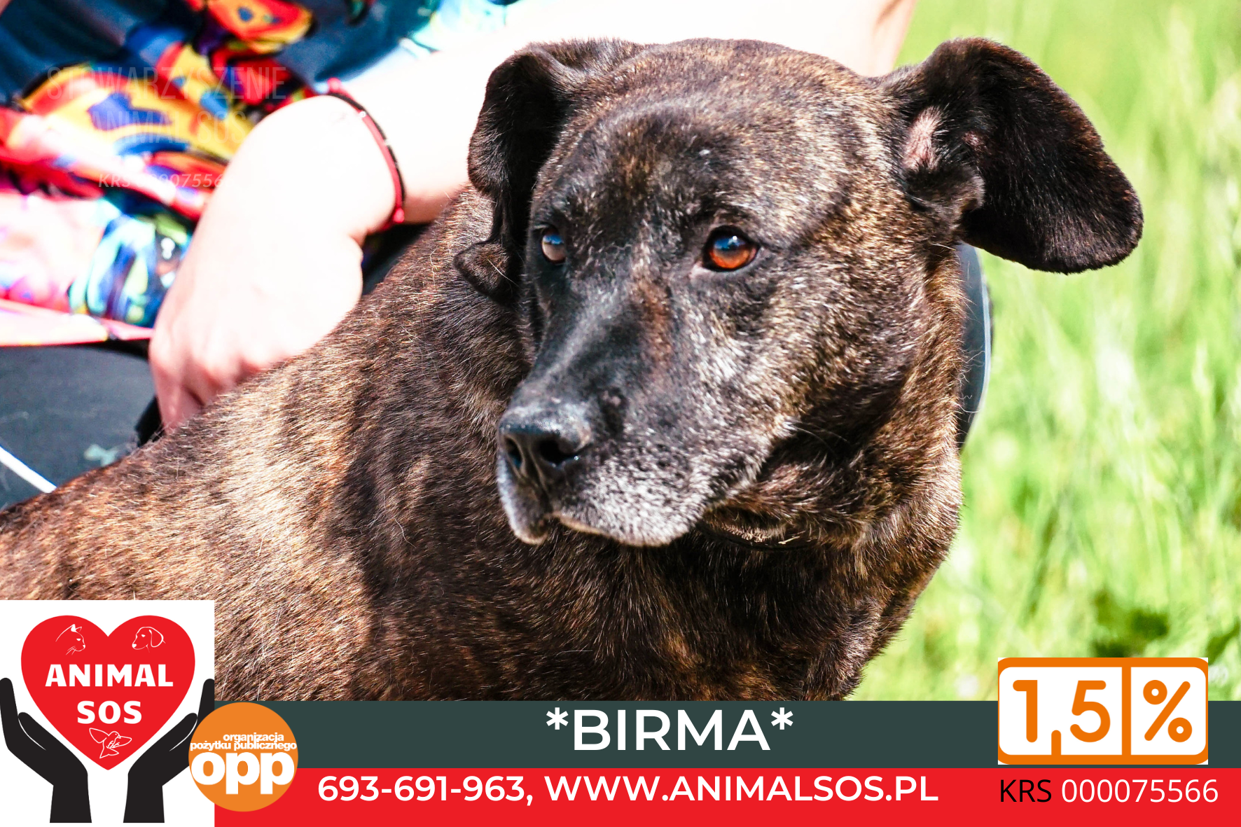 BIRMA