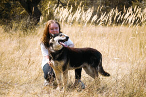 Czy marzyłeś kiedyś o psie pełnym radości i energii? Poznaj Bieguna – niezwykłego, genialnego i łagodnego towarzysza, który wniesie w Twoje życie mnóstwo pozytywnej energii! Biegun, mimo swoich 8 lat, jest wulkanem radości i idealnym przyjacielem dla osób kochających ruch i przygody! ✔️ Aktywny Kompan: Uwielbia spacery, bieganie i każdą chwilę na świeżym powietrzu. ✔️ Łagodny gigant: Ma wspaniałą, pogodną duszę. ✔️ Przyjaciel: Świetnie dogaduje się z innymi psami i potrafi chodzić na smyczy. Otwórz przed nim swoje serce, a zyskasz towarzysza, który z radością wyruszy z Tobą na każdą wyprawę!