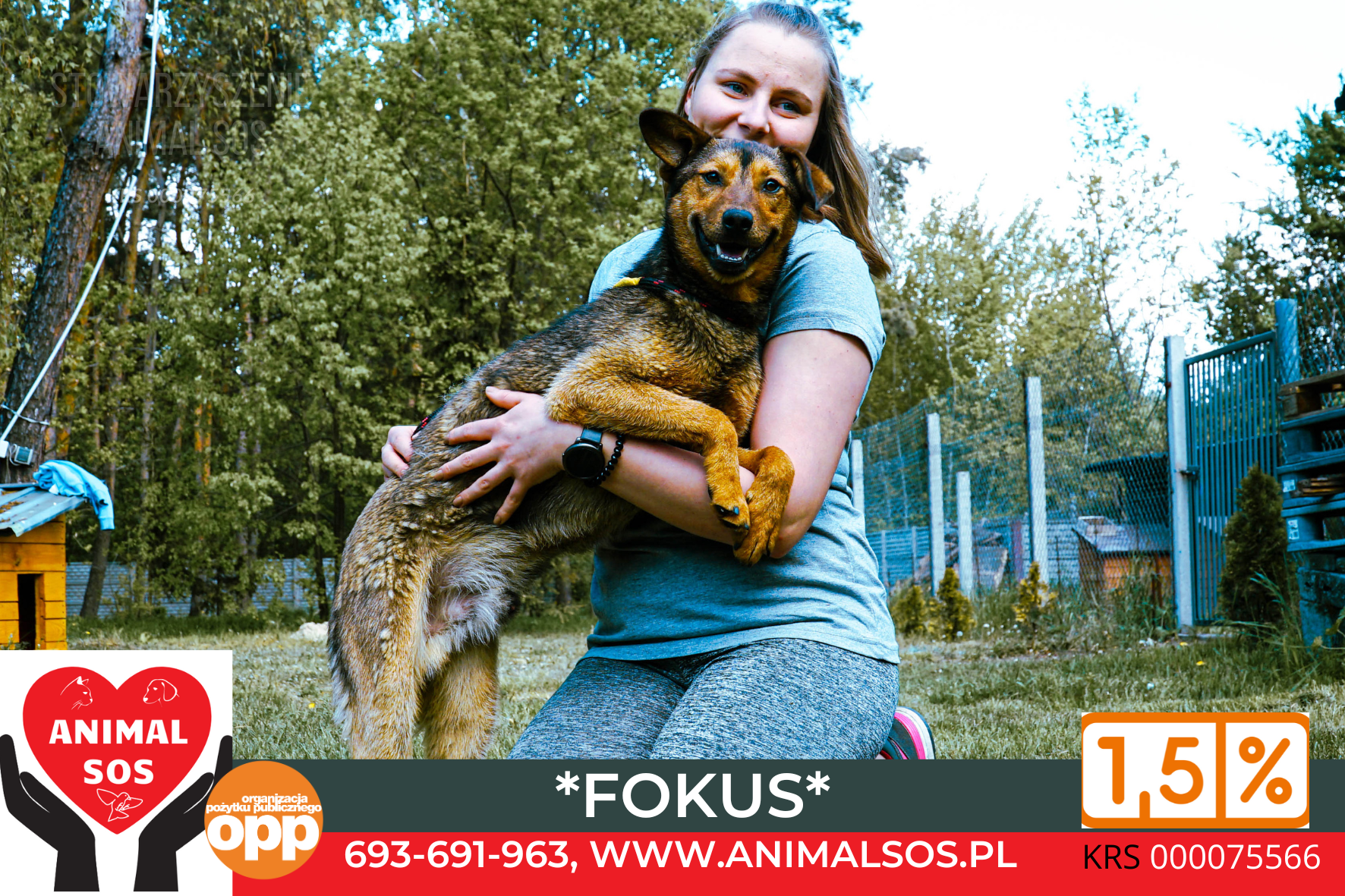 FOKUS