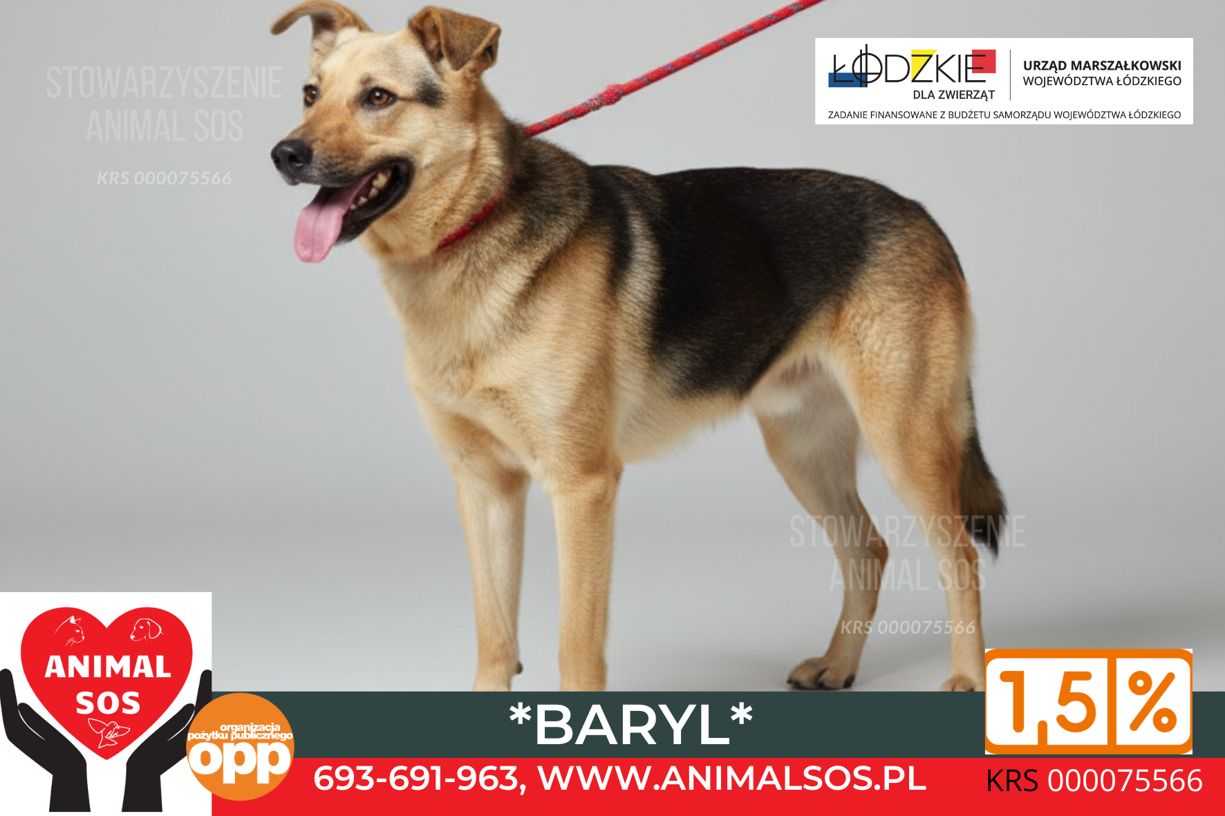 BARYL