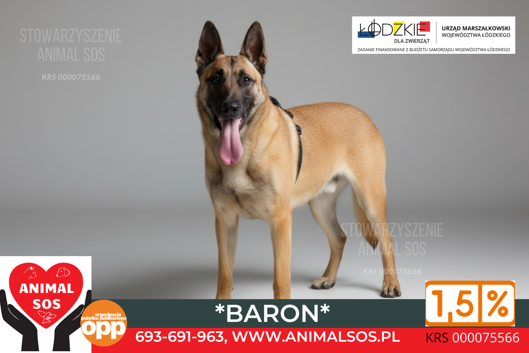 BARON – PIES NIEWIDOMY