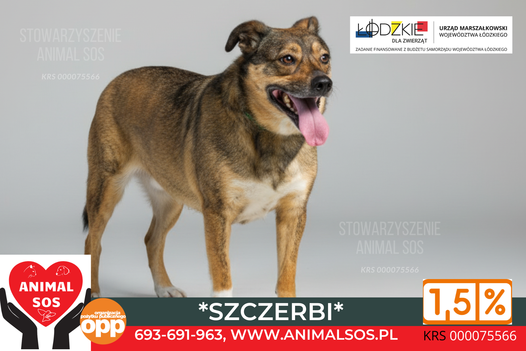 SZCZERBI