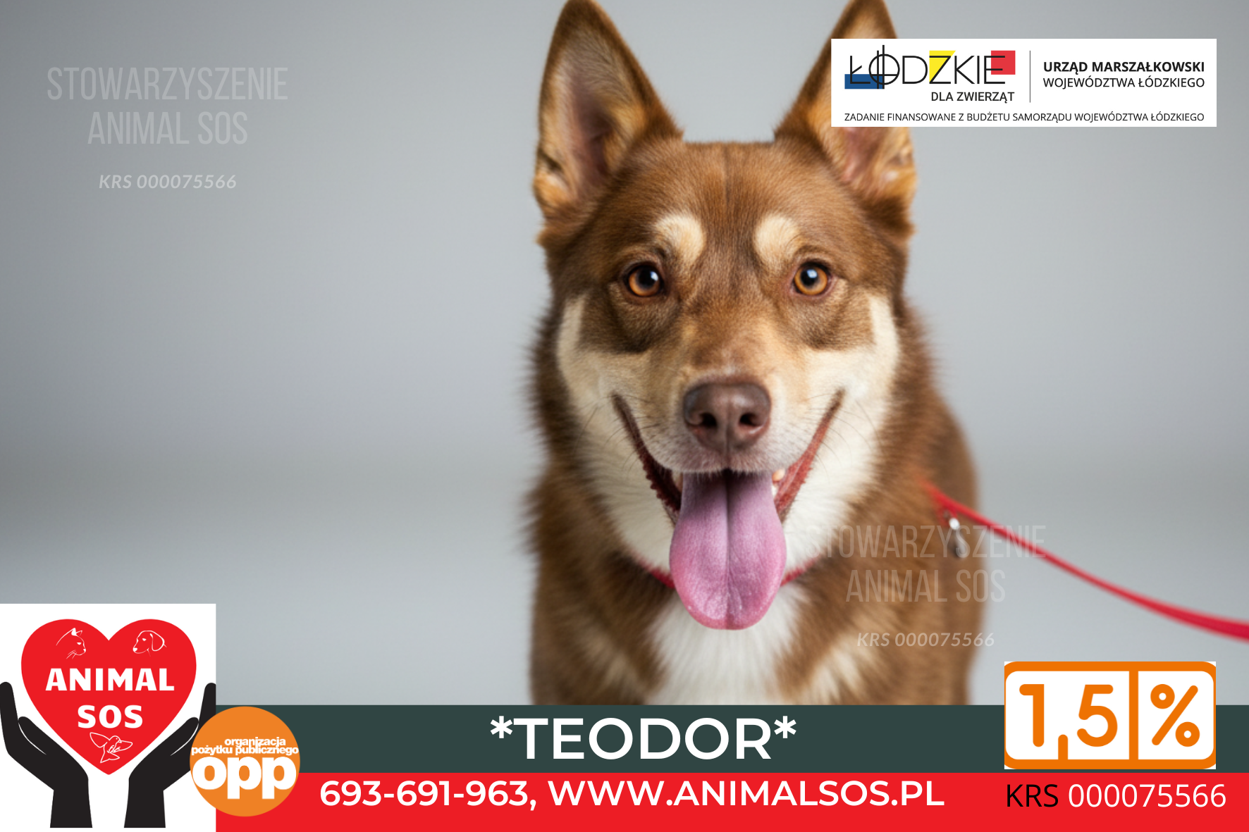 TEODOR