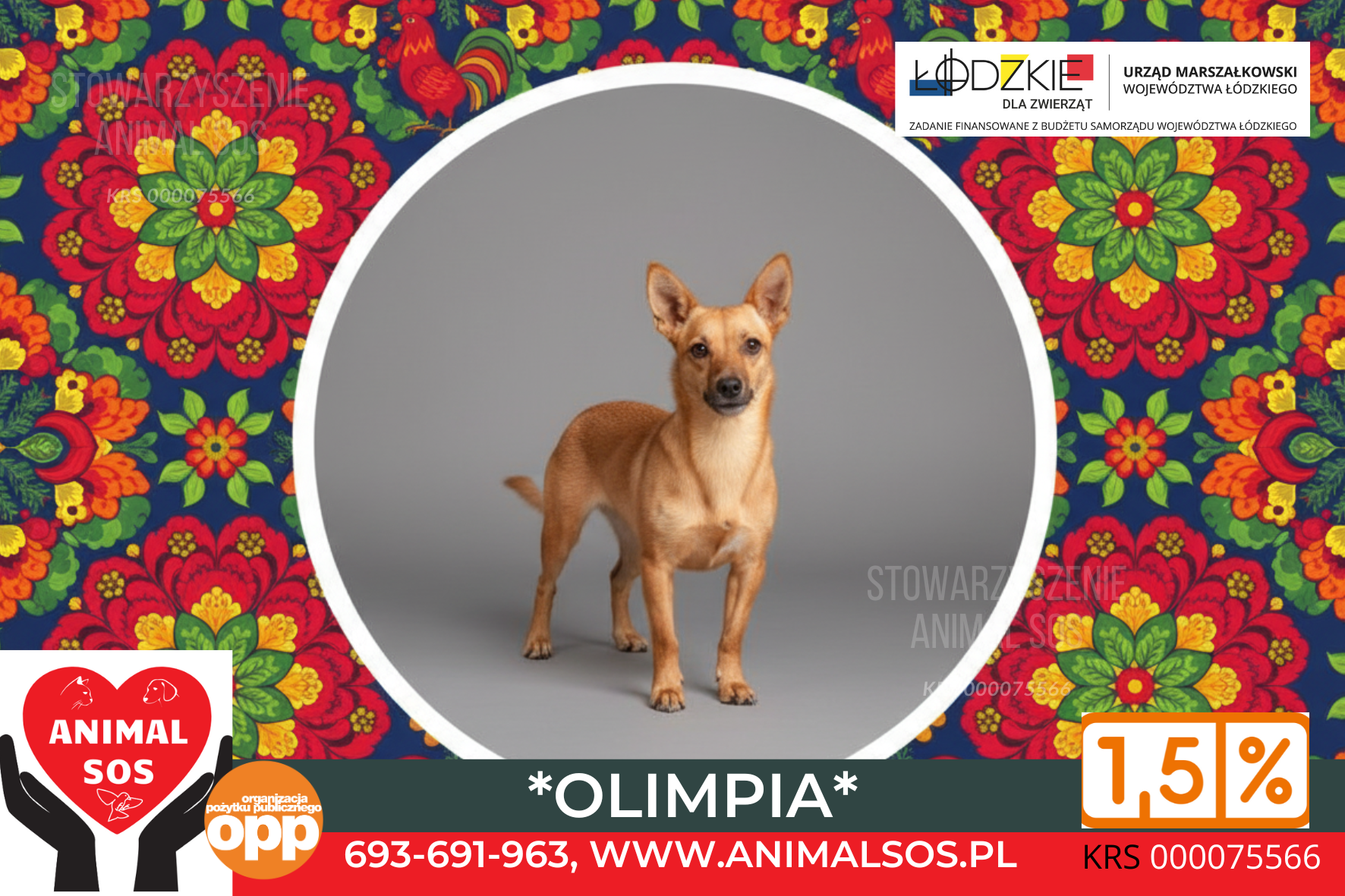 OLIMPIA