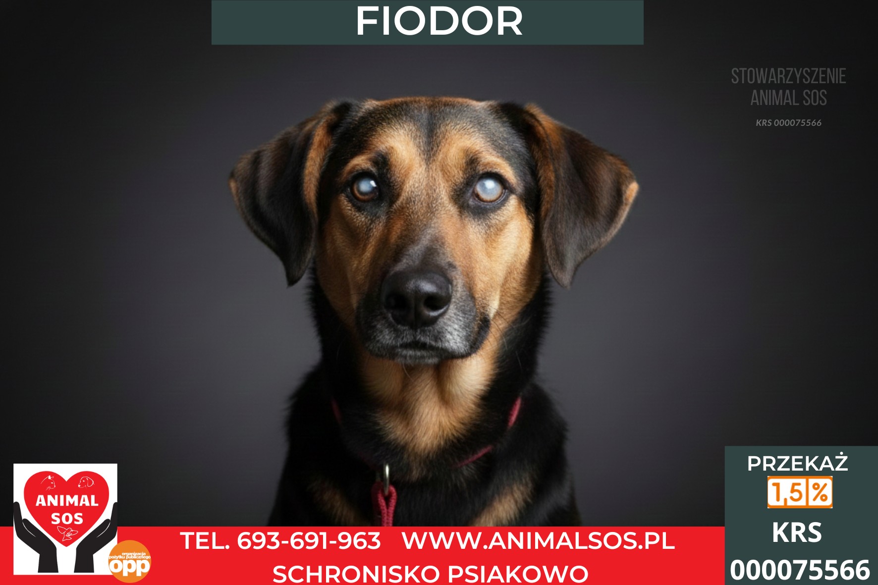 FIODOR