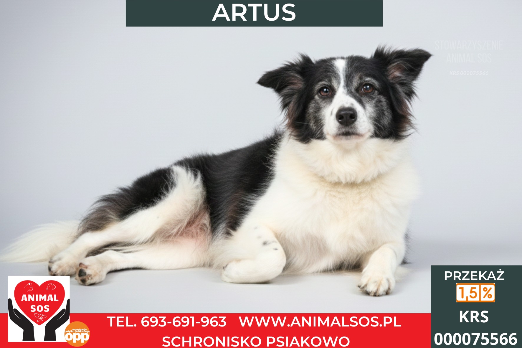 ARTUS