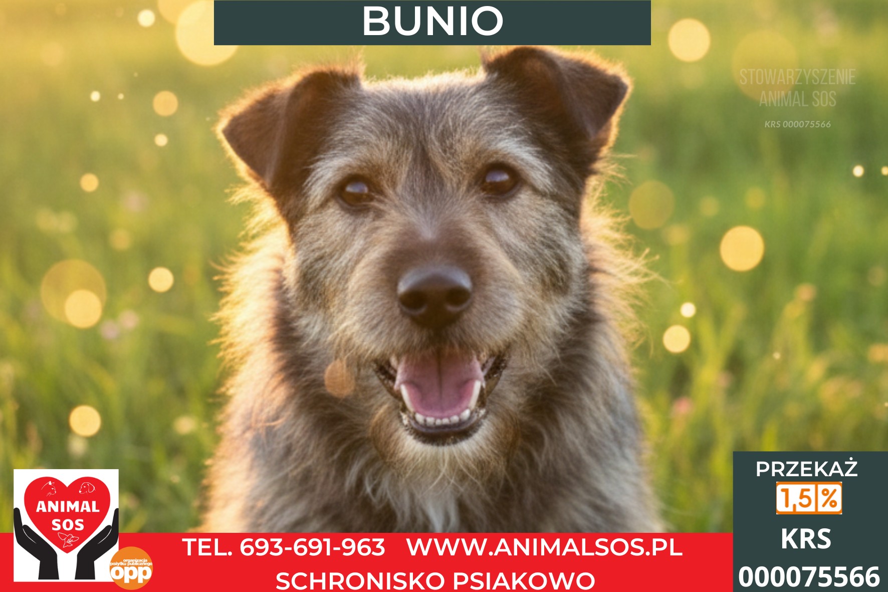 BUNIO