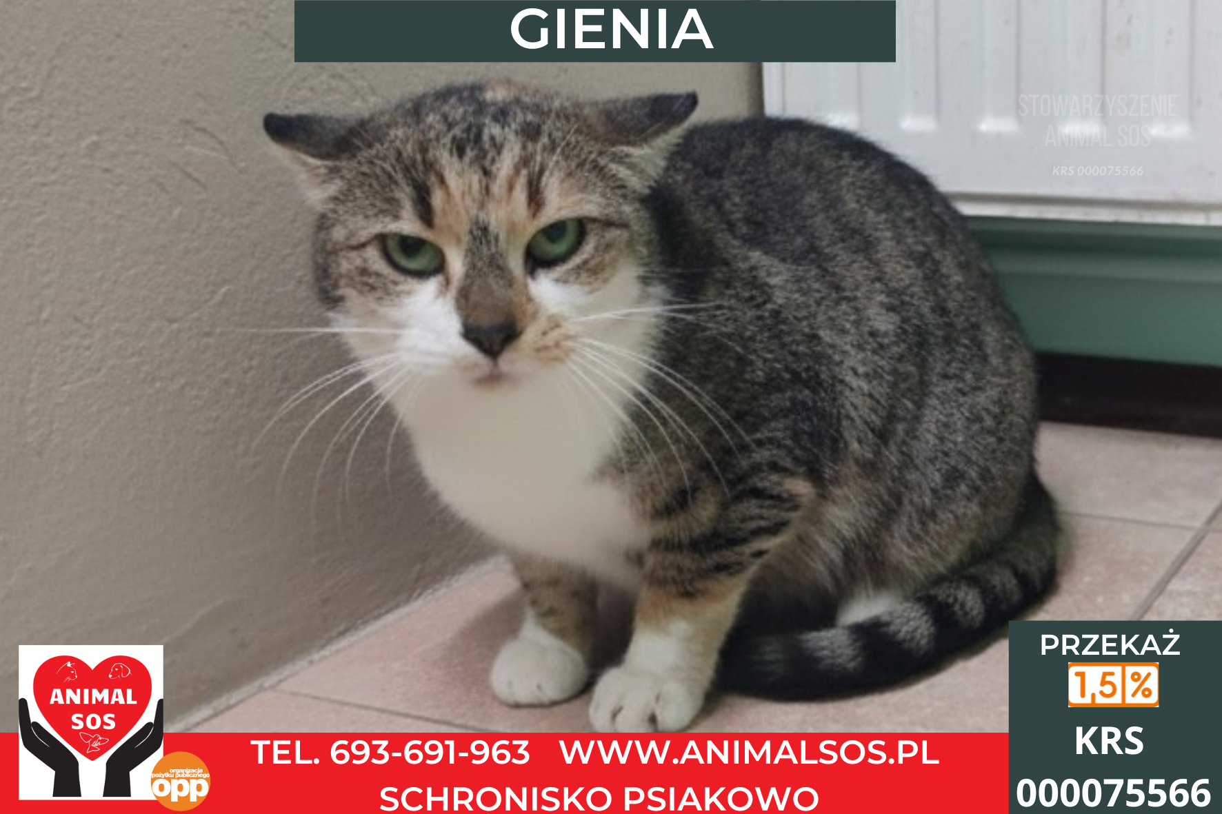 GIENIA