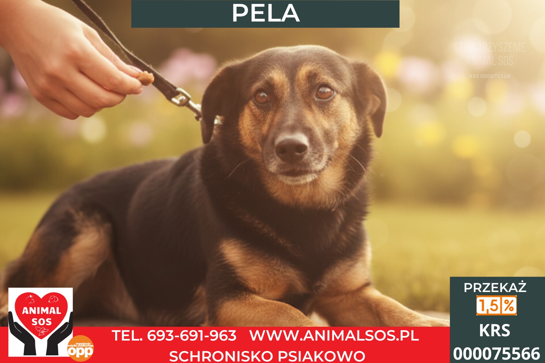 PELA