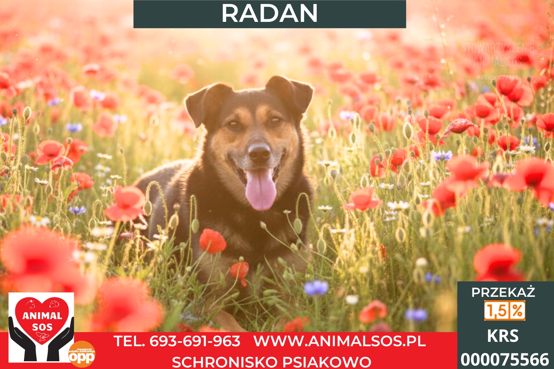 RADAN