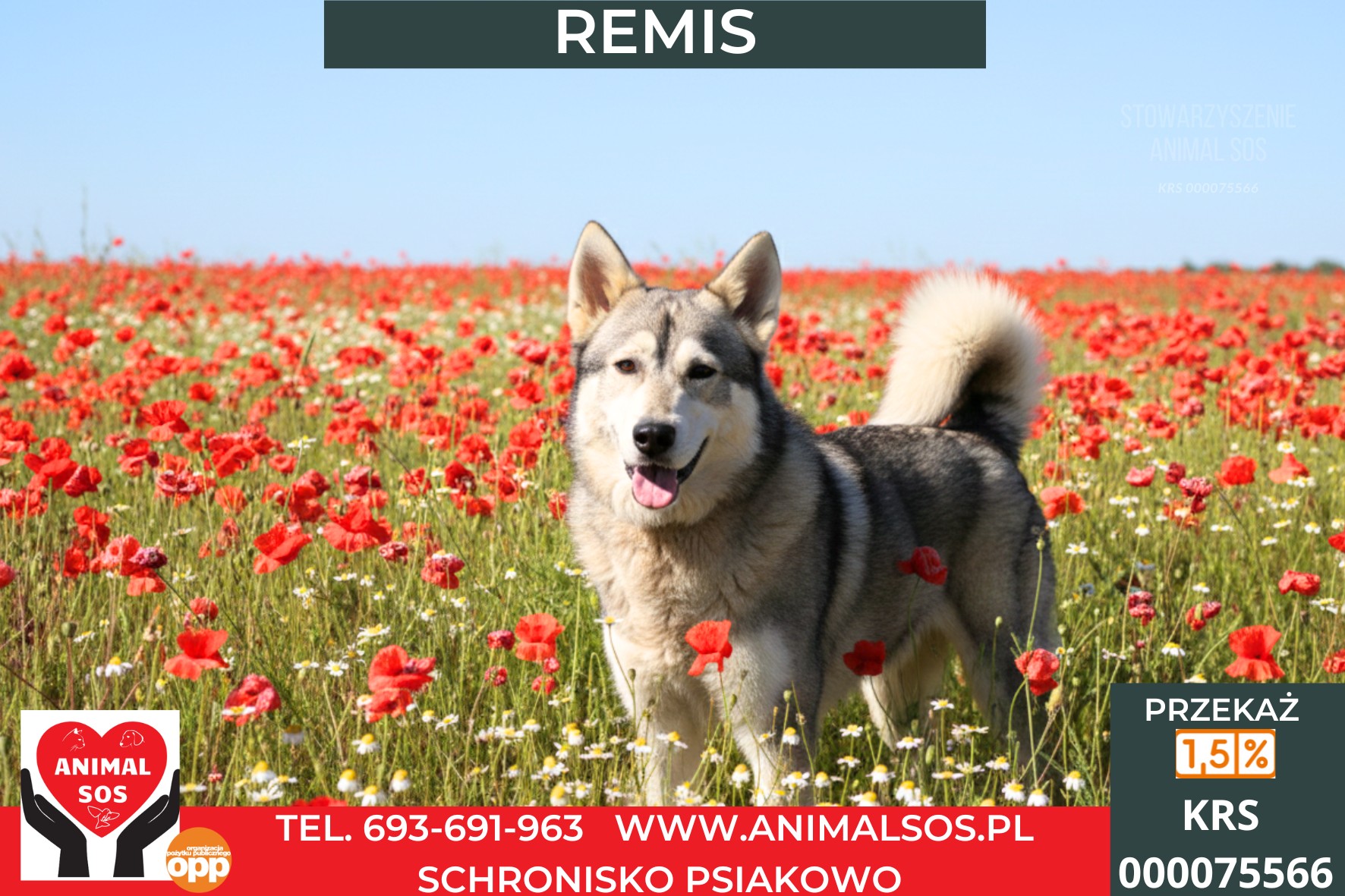 REMIS
