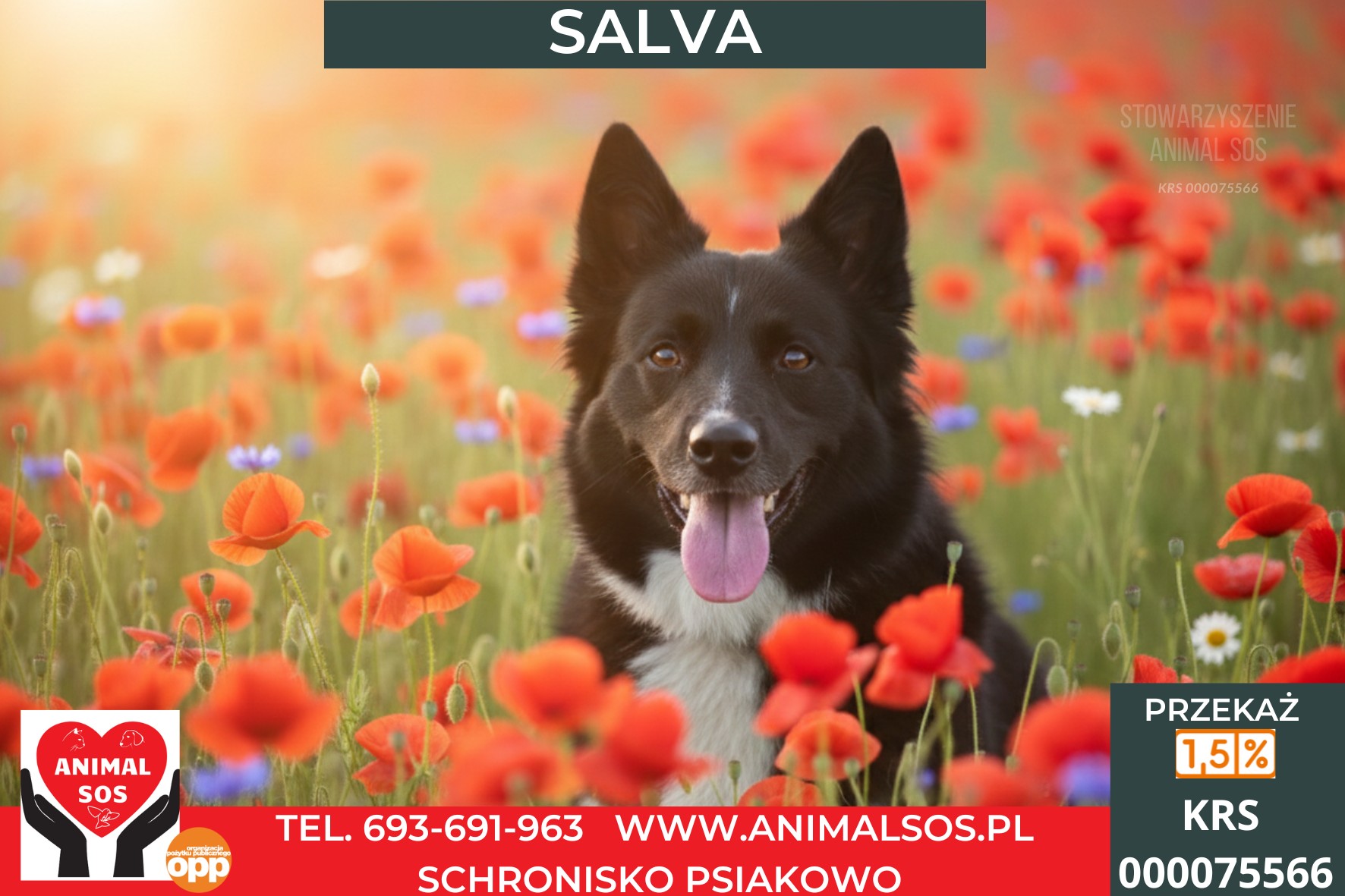 SALVA