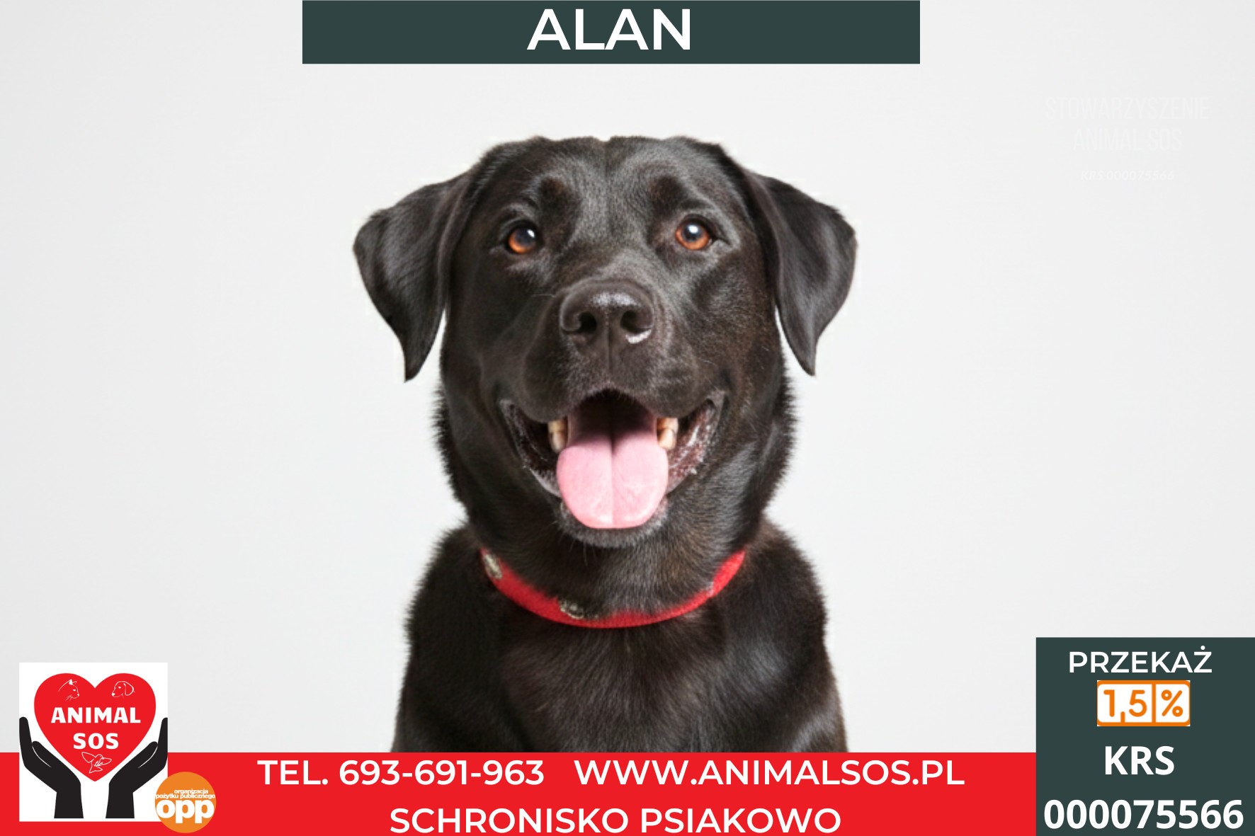 ALAN