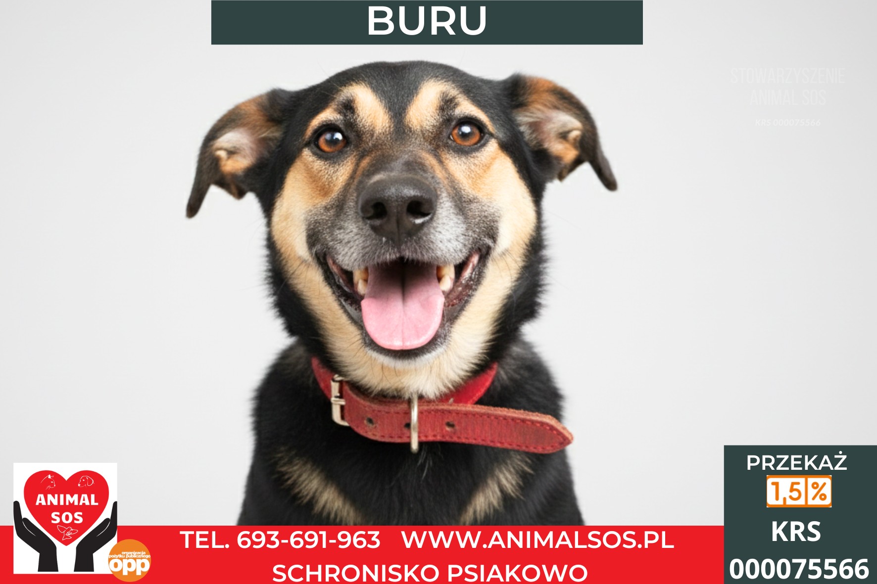 BURU