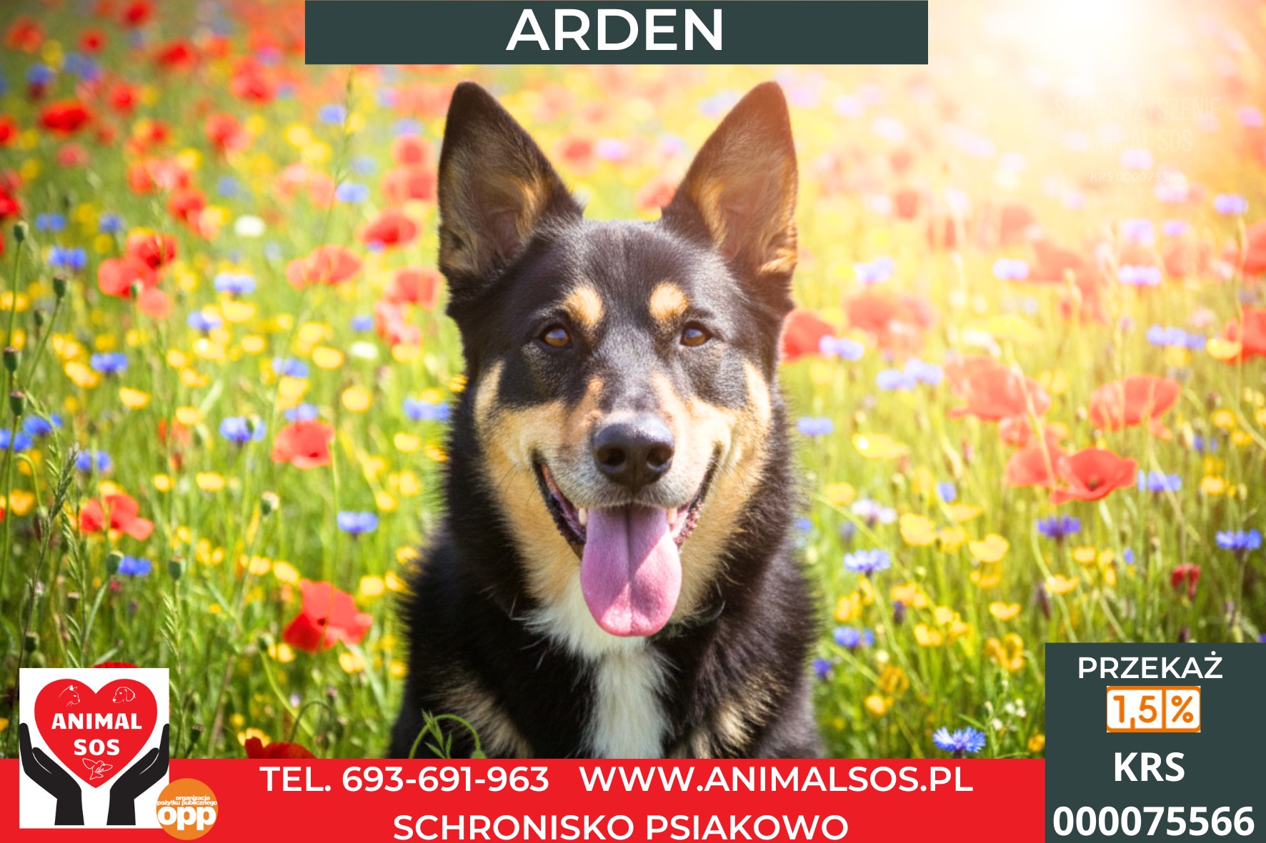 ARDEN