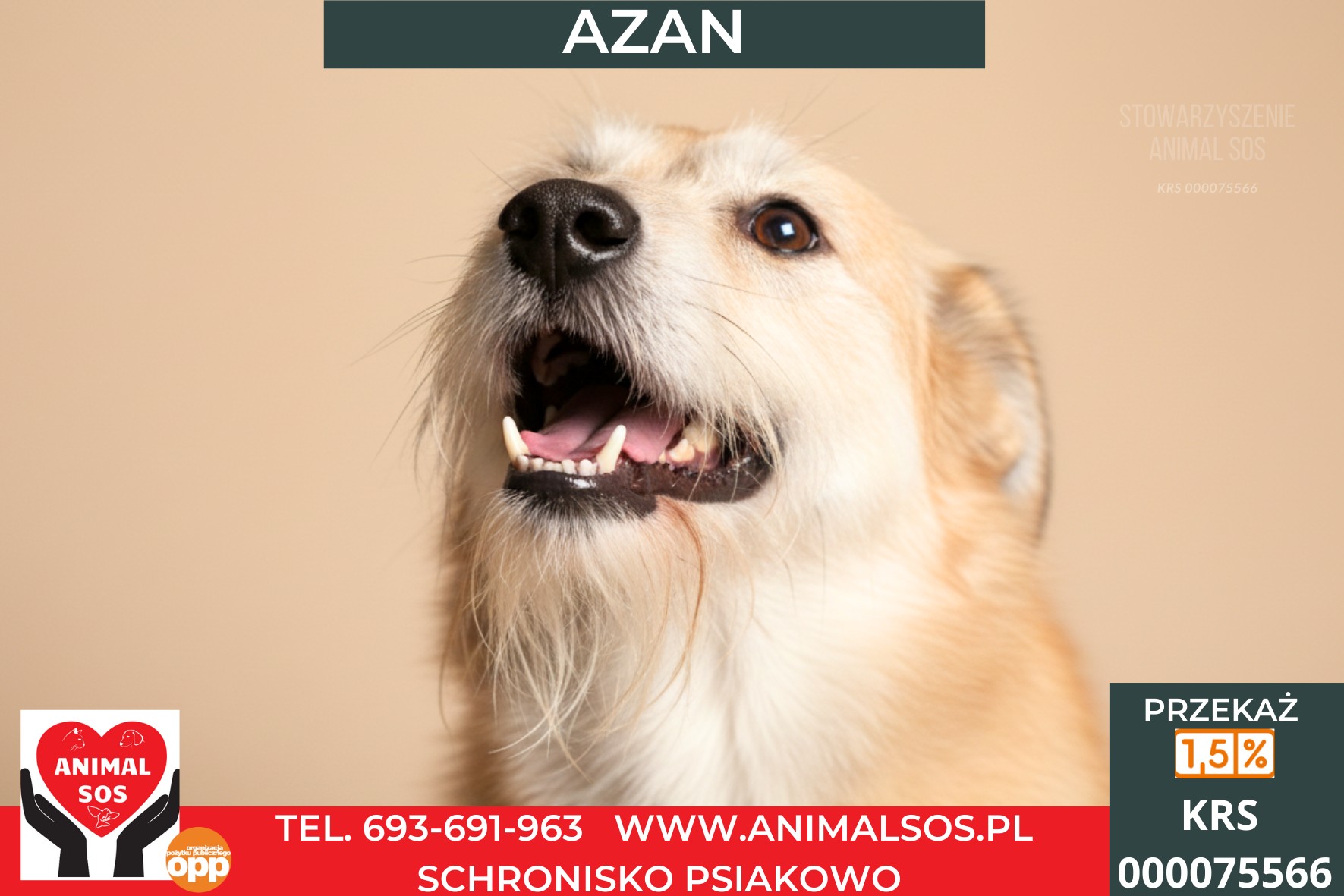 AZAN