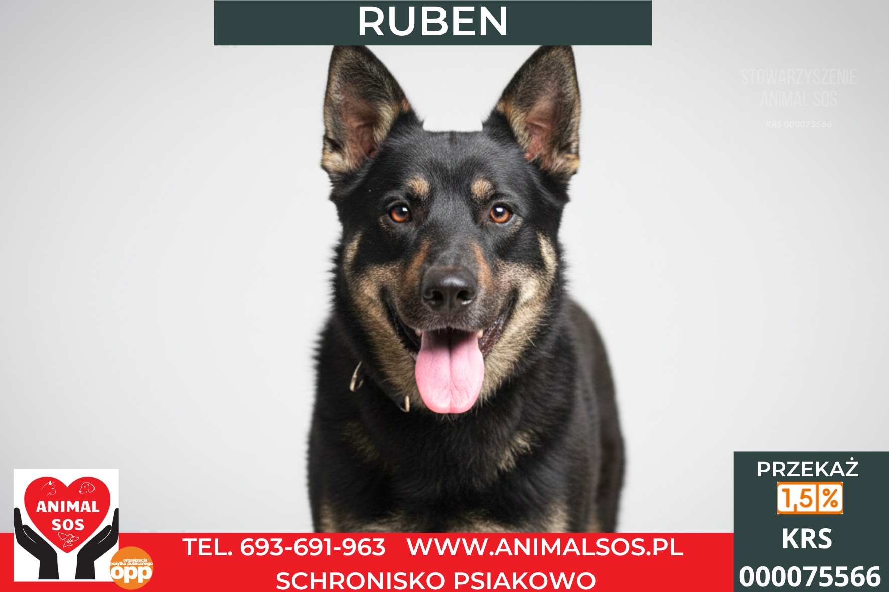 RUBEN