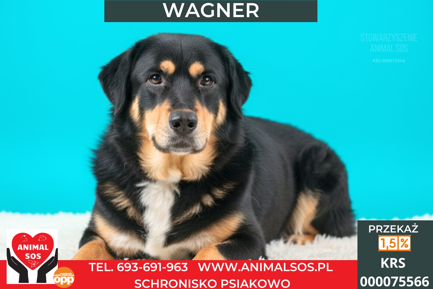 WAGNER