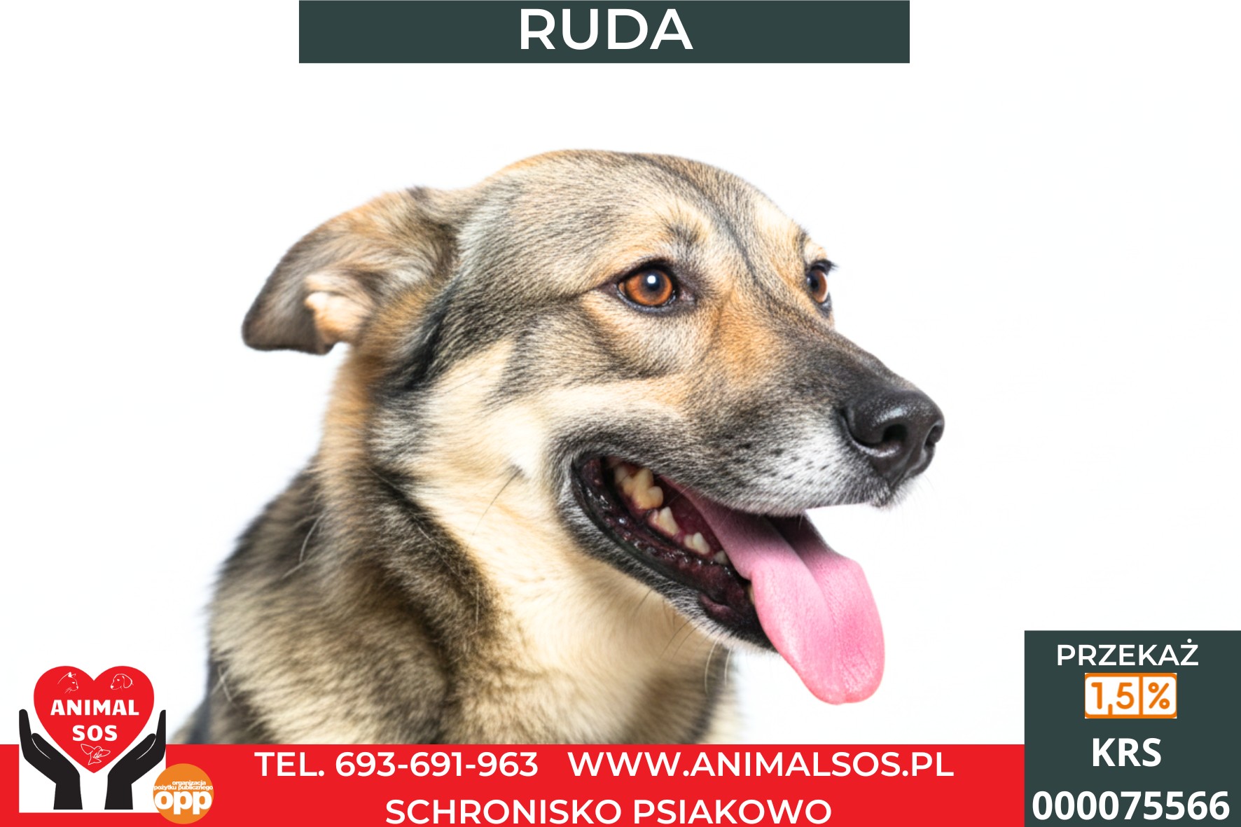 RUDA
