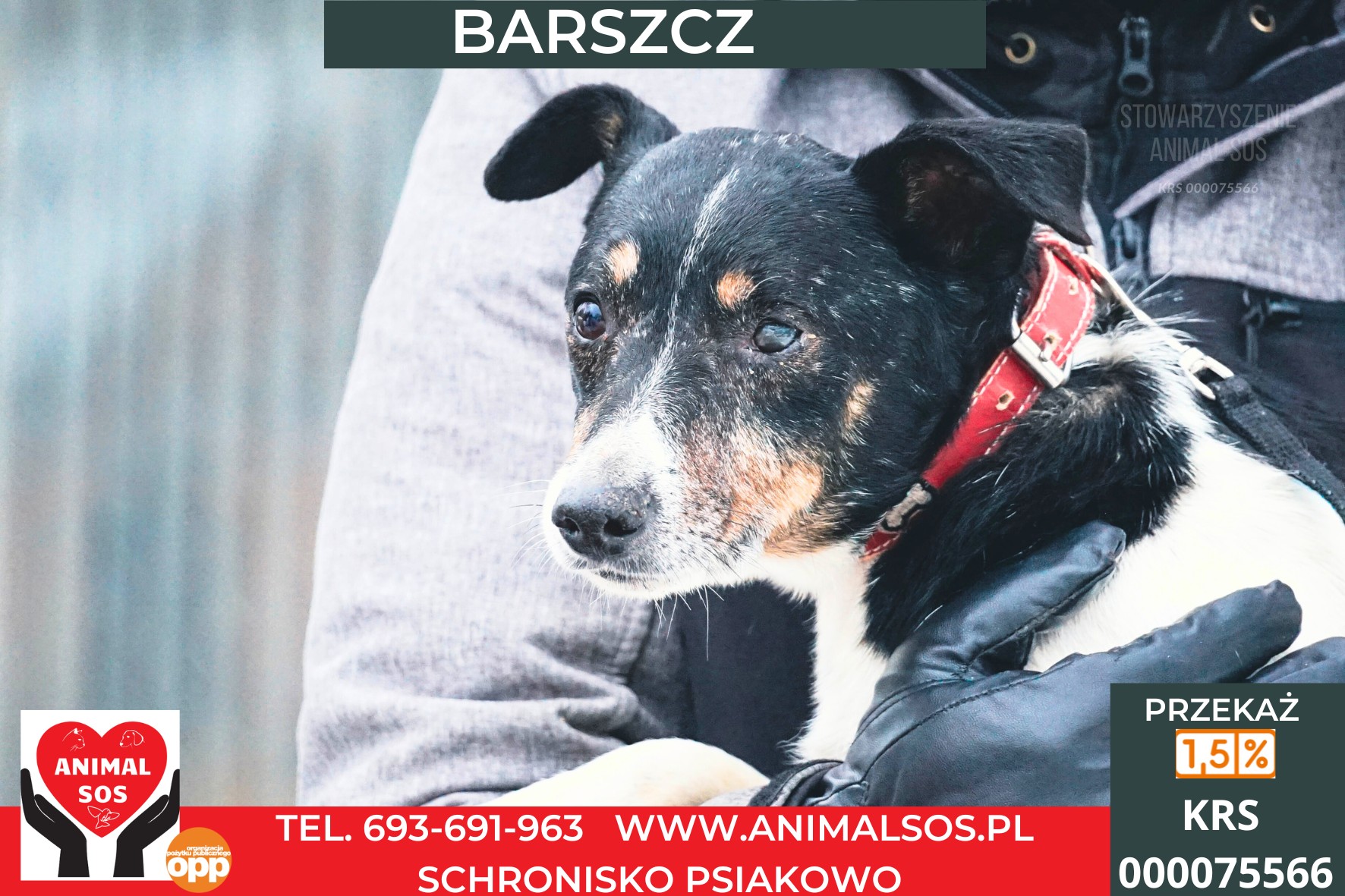BARSZCZ