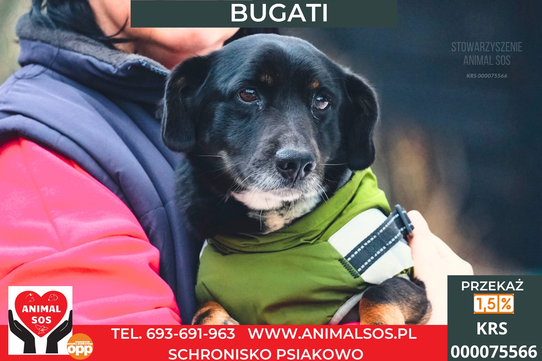 BUGATI