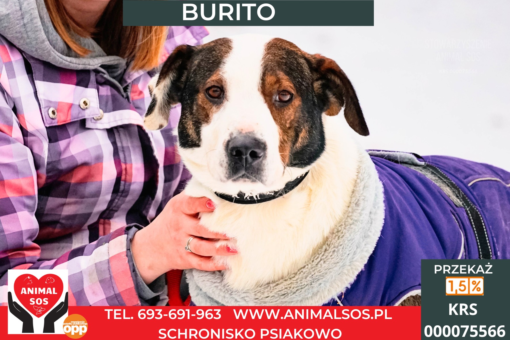 BURITO