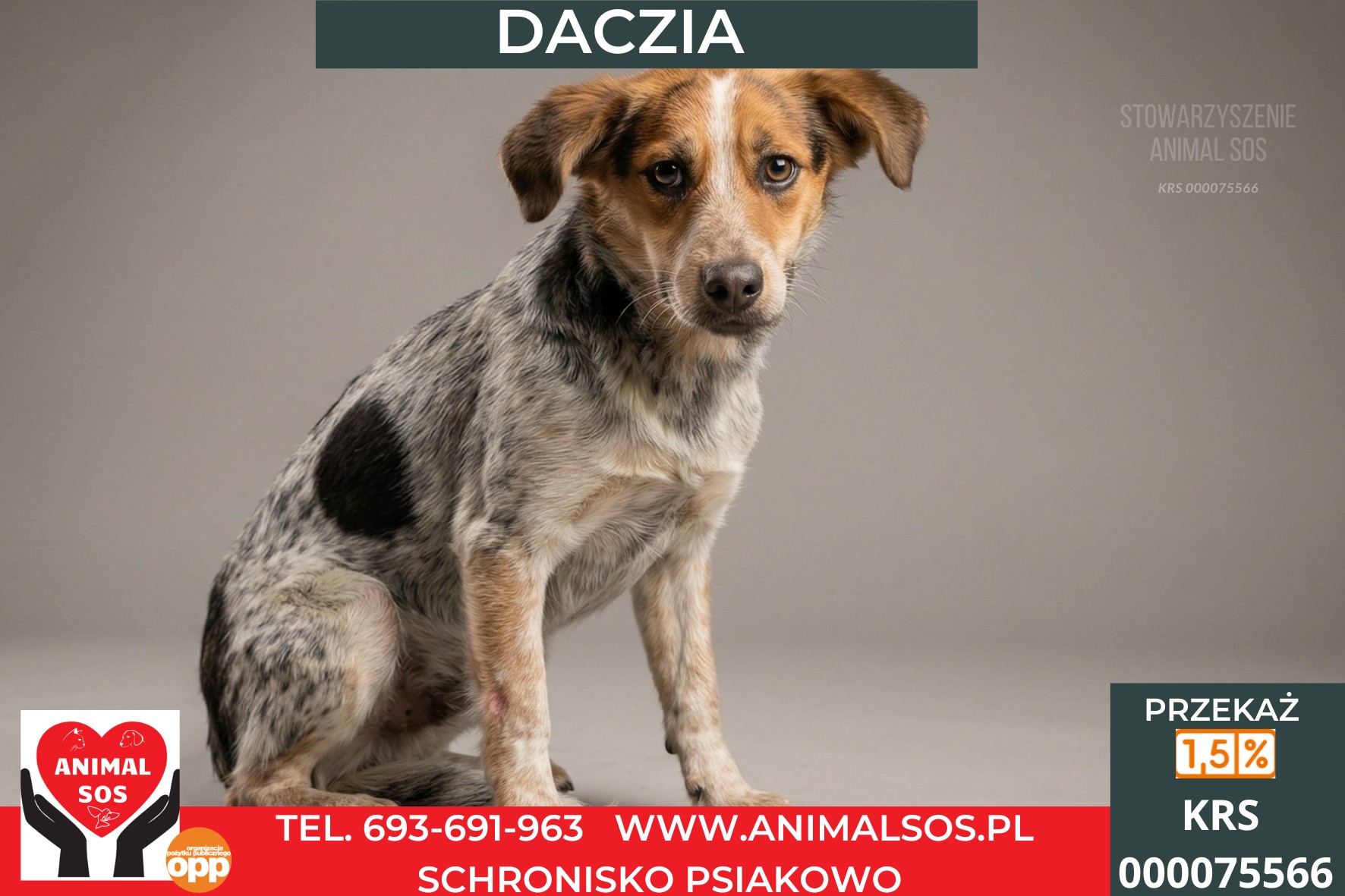 *DACZIA*