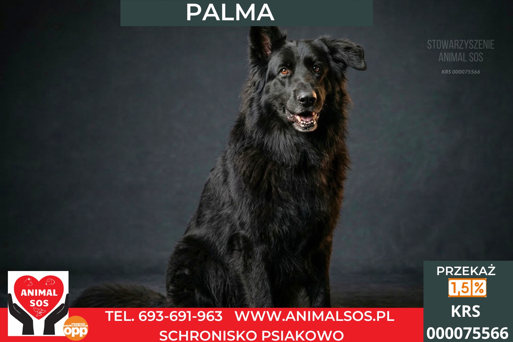 *PALMA*