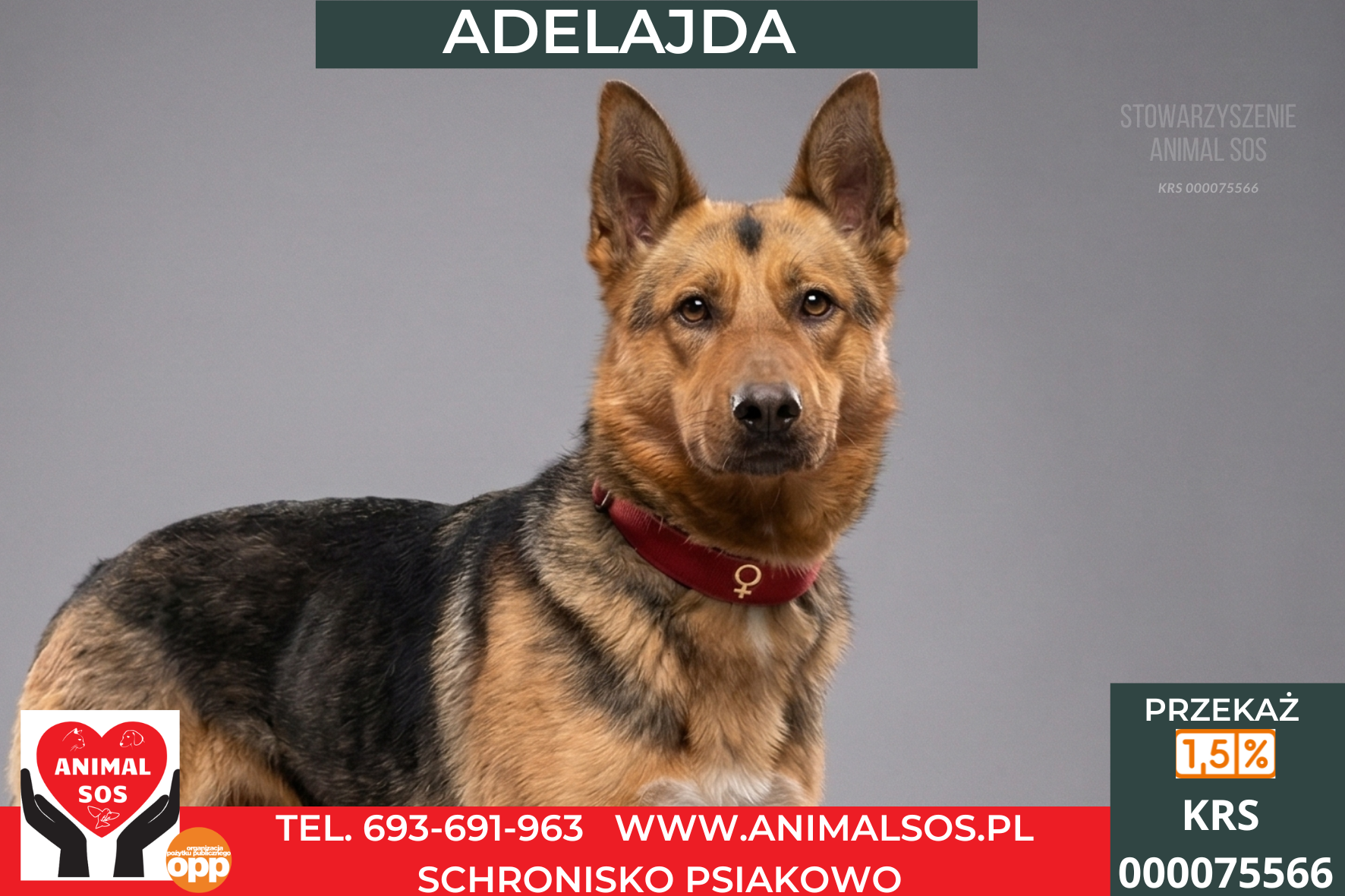 *ADELAJDA*