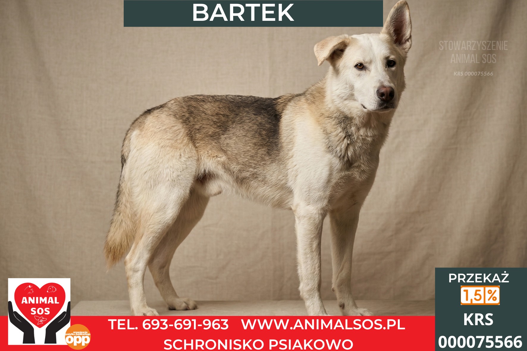 *BARTEK*
