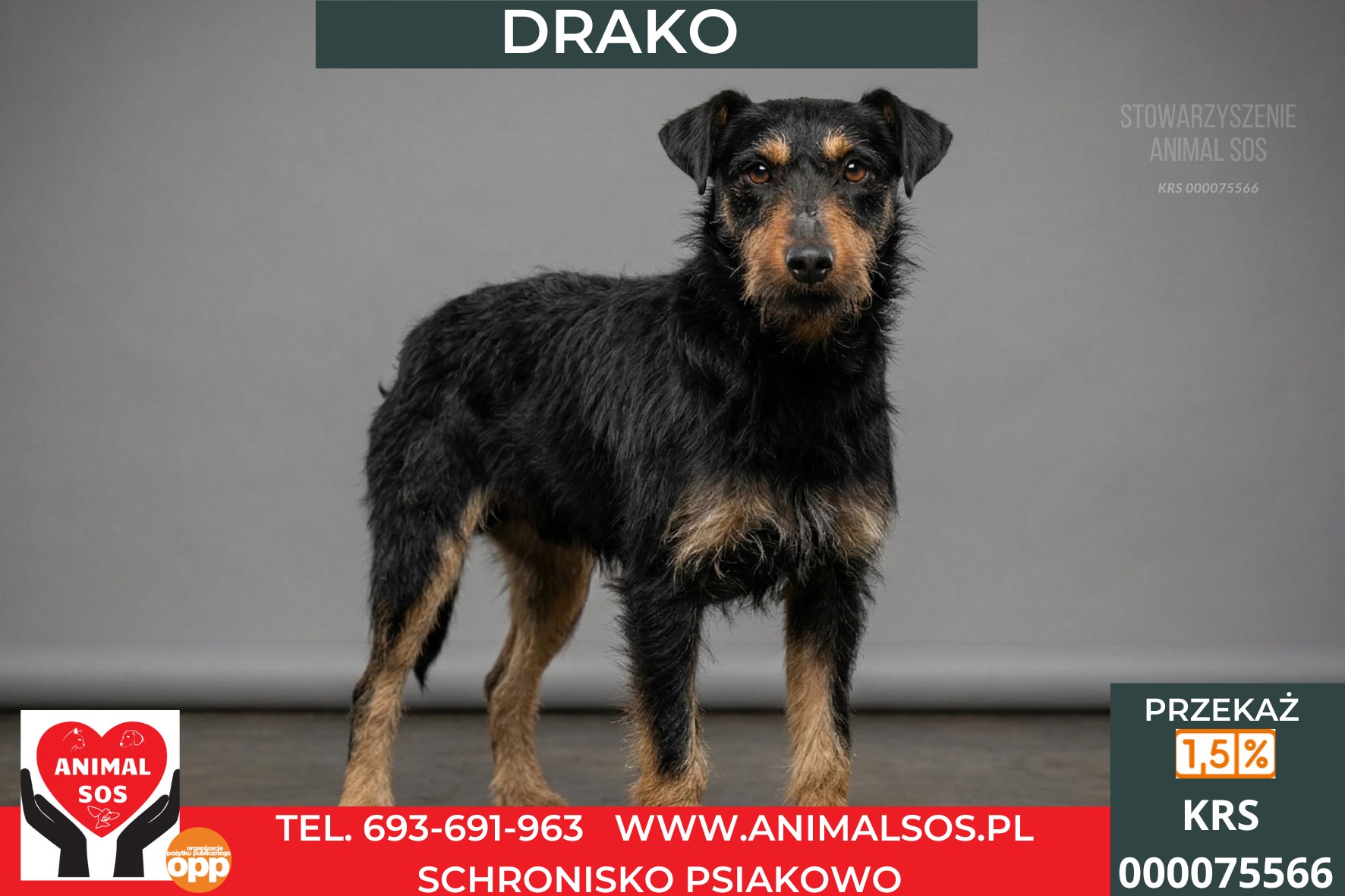 *DRAKO*