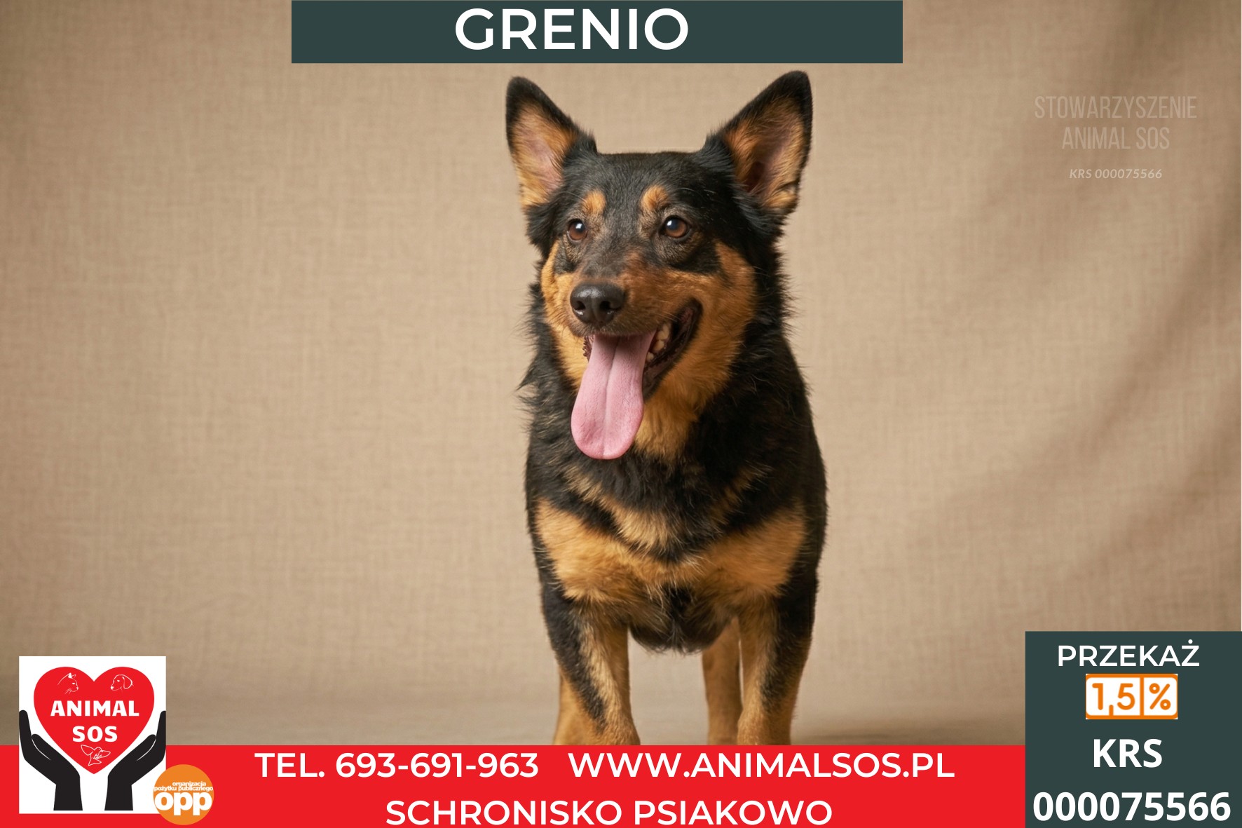 *GRENIO*