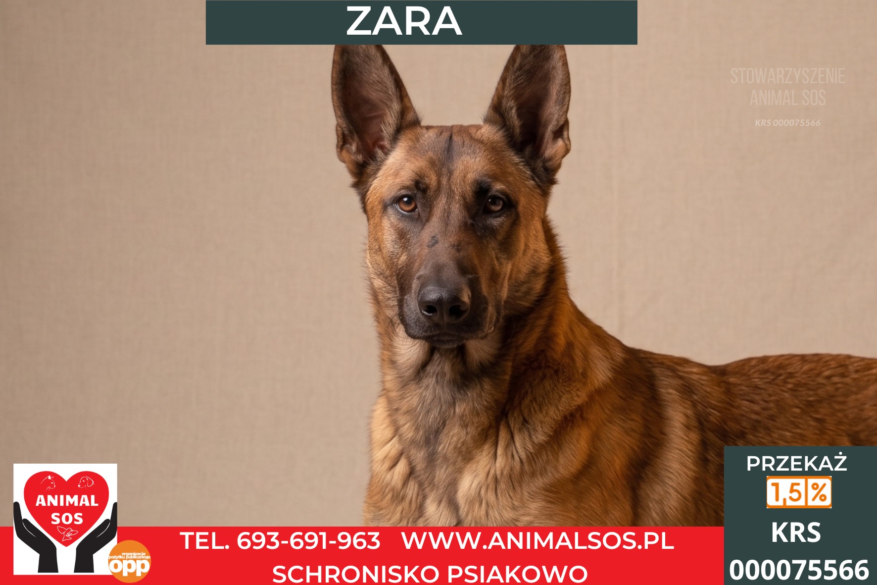 *ZARA*