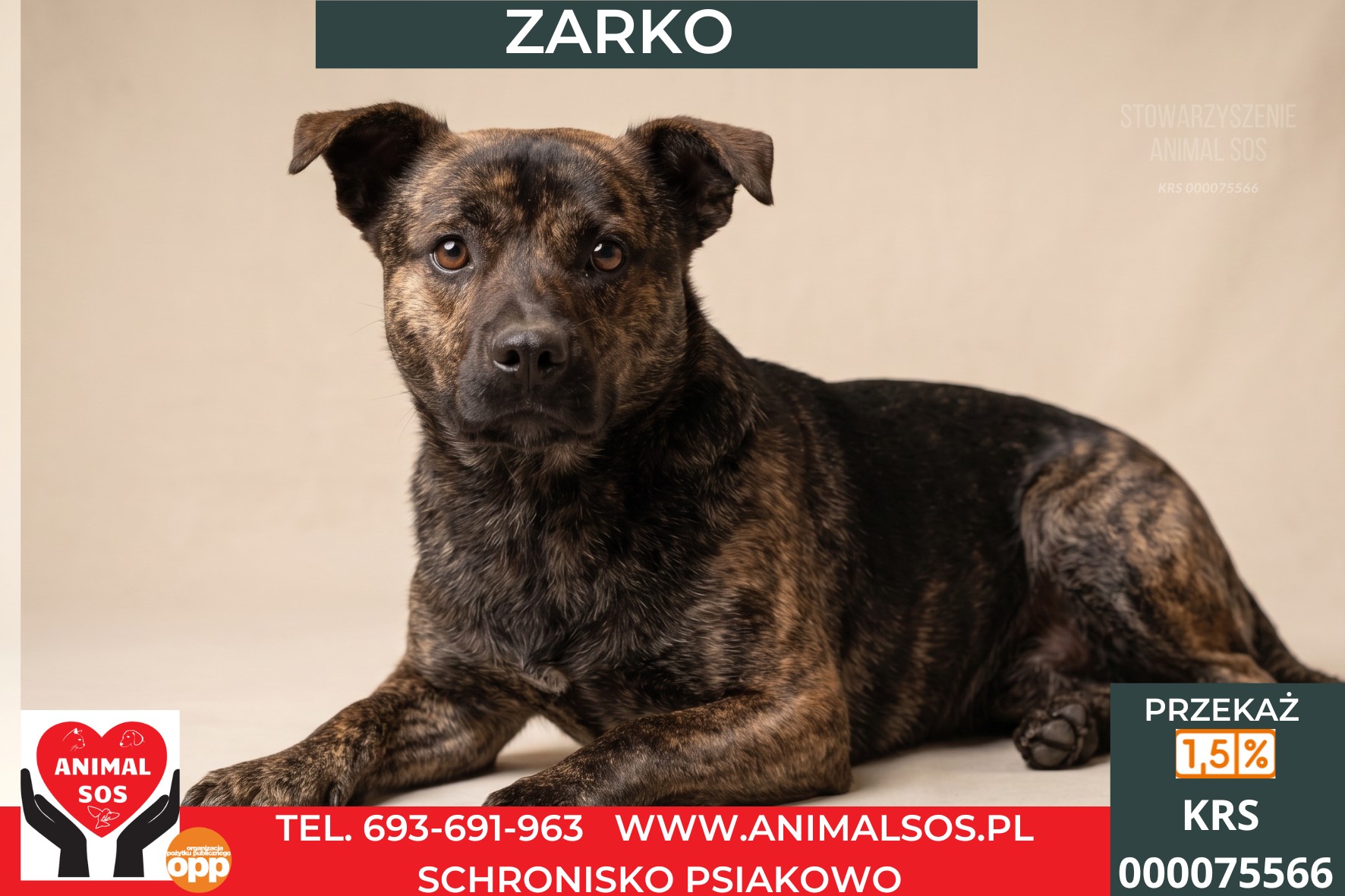 *ZARKO*