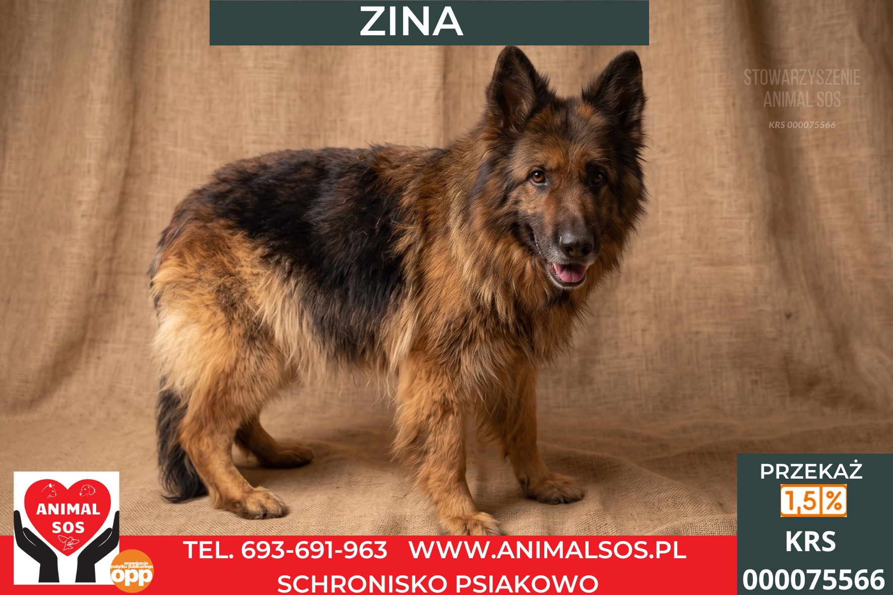 *ZINA*