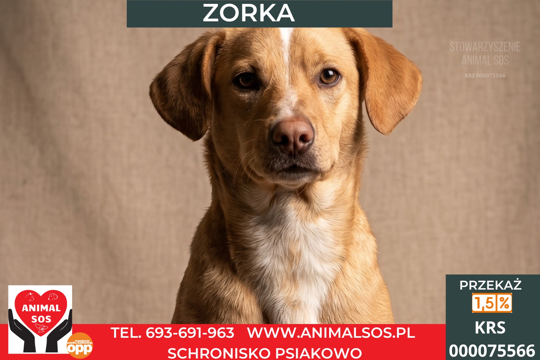*ZORKA*