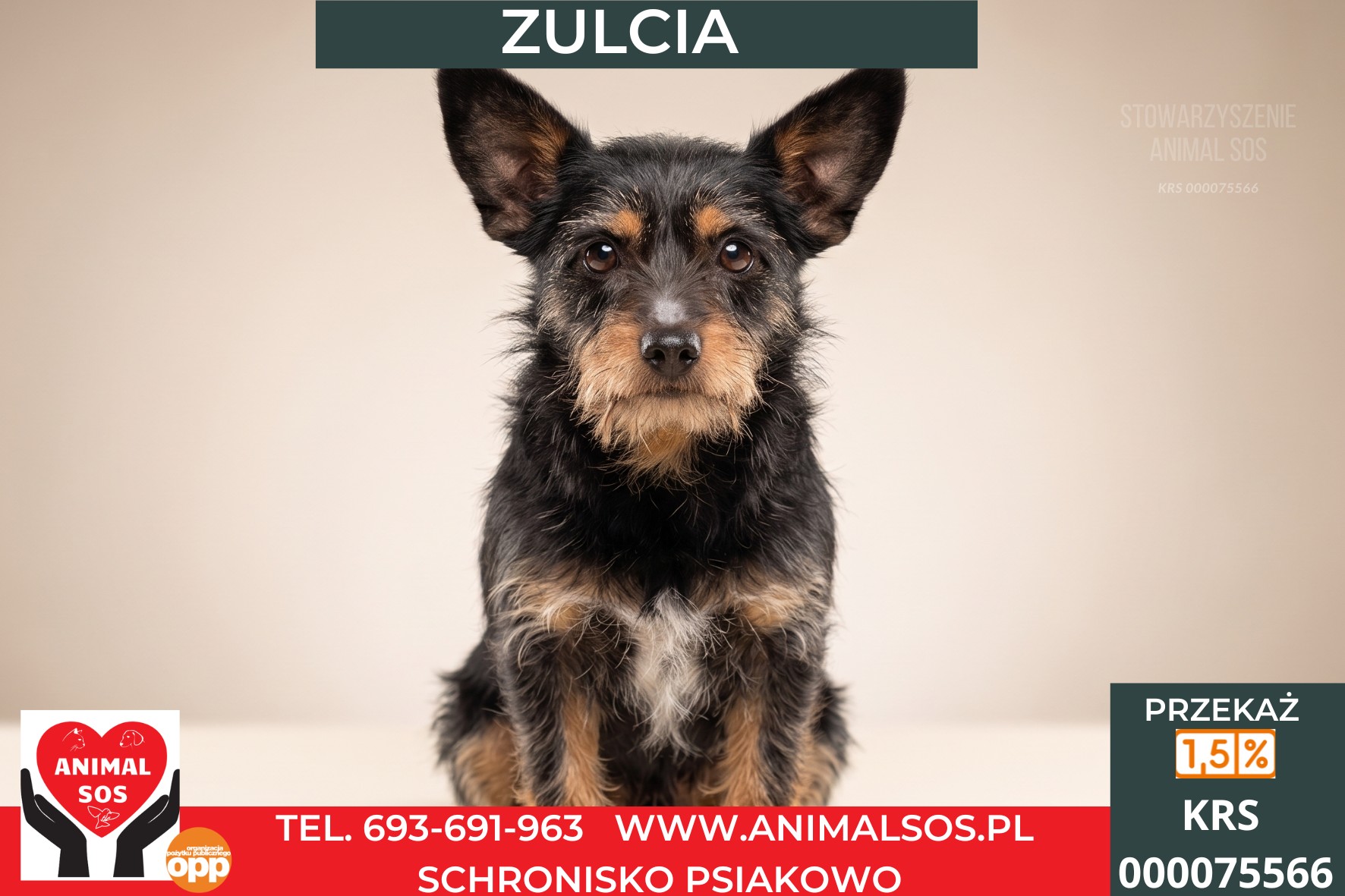 *ZULCIA*
